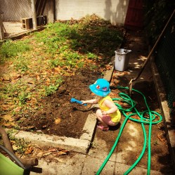 933F7610-DD2A-4D86-B54F-AD3BF5C9190C